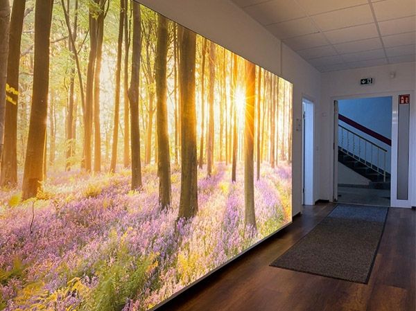 Eingangsbereich der Praxis mit beleuchteter Phototapete